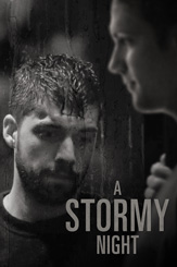 A Stormy Night poster