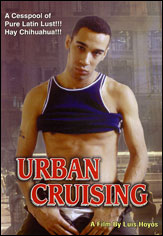 Urban Cruising poster